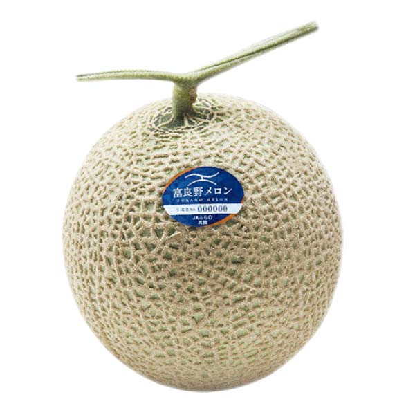 北海道産 ふらのメロン&北海道産ゆめぴりか(お届け期間：7/11〜8/15)【夏の贈りもの・お中元】　商品画像3