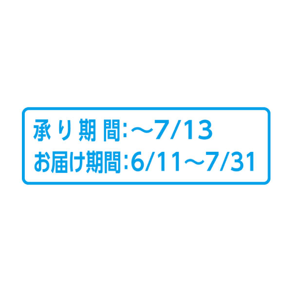 宮崎県産(JA西都) わけありマンゴー(自宅用)(お届け期間：6/11〜7/31)【夏の贈りもの・お中元】　商品画像3