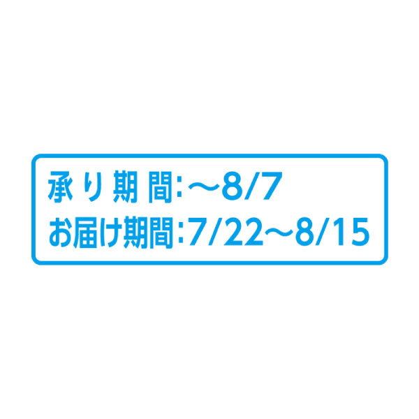 山形県産 山形の真夏桃(お届け期間：7/22〜8/15)【夏の贈りもの・お中元】　商品画像3