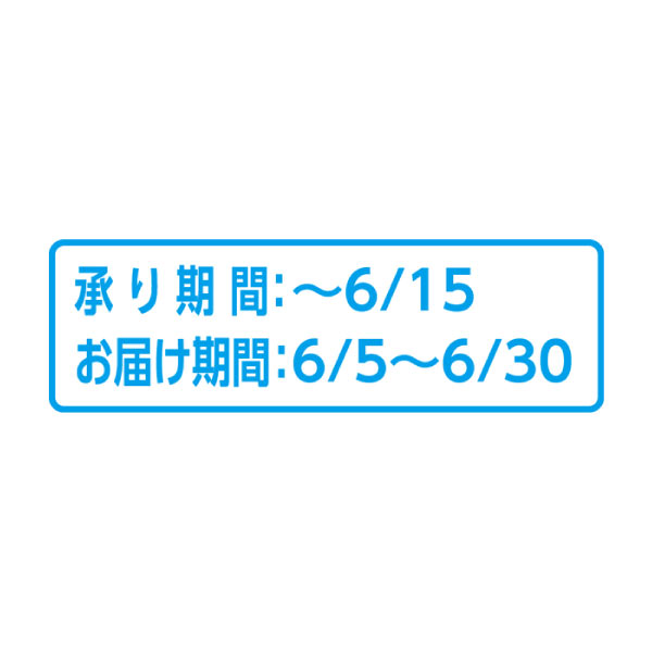 山形県産 さくらんぼ(佐藤錦又は紅秀峰)(お届け期間：6/5〜6/30)【夏の贈りもの・お中元】　商品画像3
