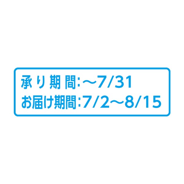 福島県産 伊達の「あかつき桃」1.5kg(お届け期間：7/2〜8/15)【夏の贈りもの・お中元】　商品画像3