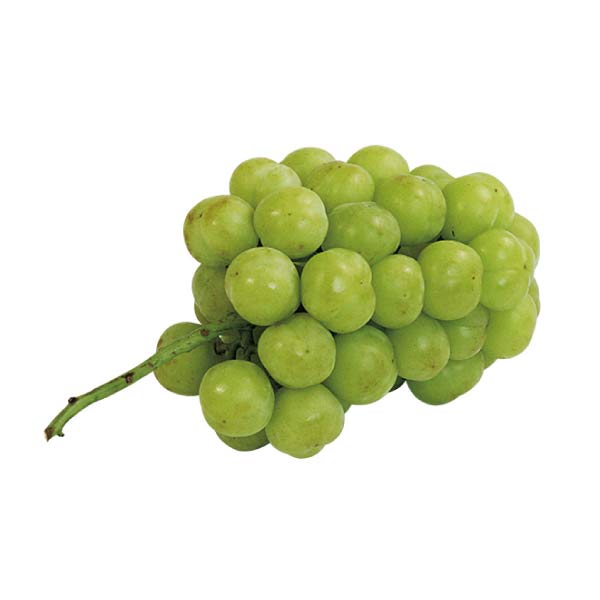 山形県産・福島県産 福島県産シャインマスカットと山形県産赤肉小玉すいか詰合せ(お届け期間：7/17〜8/15)【夏の贈りもの・お中元】　商品画像3