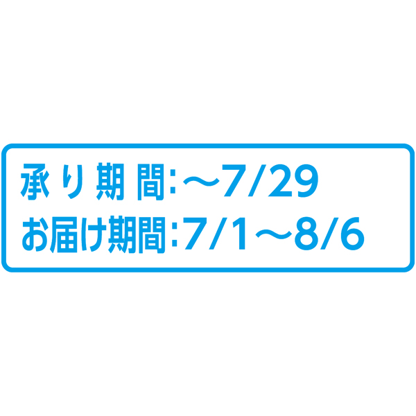 日本朝顔(SUSTEE付)(お届け期間：7/1〜8/6)【夏の贈りもの