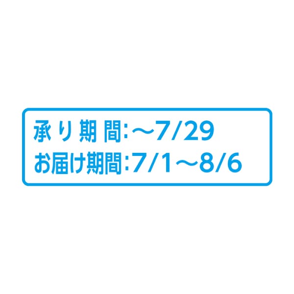 フローラル・プロダクツ ミニバナナ「トロピカーナ」(SUSTEE付)(お届け期間：7/1〜8/6)【夏の贈りもの・お中元】　商品画像3