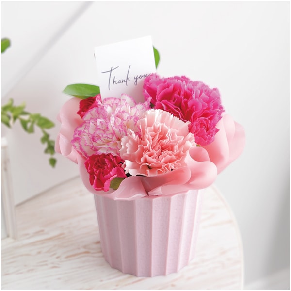 竹中庭園緑化 母の日カーネーションアレンジ+ひととえ キュートセレクション【母の日】 商品画像3