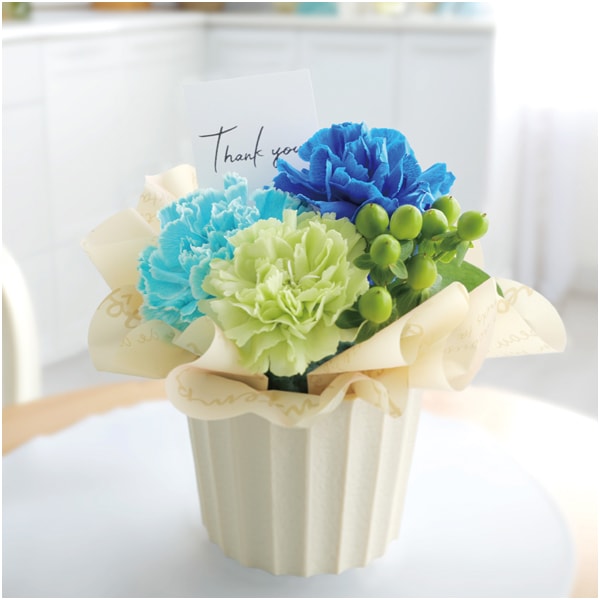 竹中庭園緑化 父の日カーネーションアレンジ+雪の雫 スイーツパレット【父の日】 商品画像3