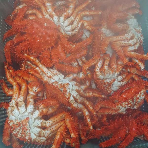 キョクイチフーズ 北海道産 3種のかに食べくらべ【冬の贈りもの・お歳暮】　商品画像3