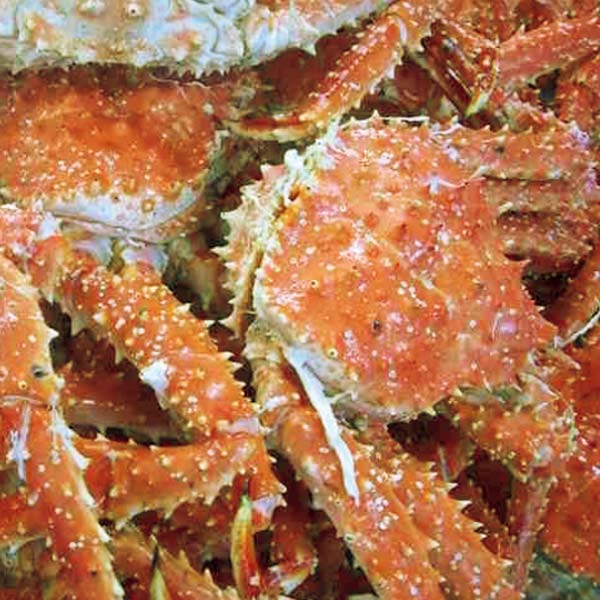 マルダイ水産 北海道産 ボイルたらばがに脚1000g【冬の贈りもの・お歳暮】　商品画像3