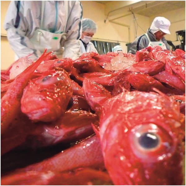 白謙かまぼこ店 秀笹詰合せ【冬の贈りもの・お歳暮】[JU-SY]　商品画像3