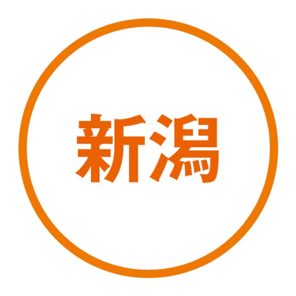 新潟県産(JA佐渡) ル レクチエ(洋梨) (お届け期間：11/21〜12/20)【冬ギフト・お歳暮】　商品画像3