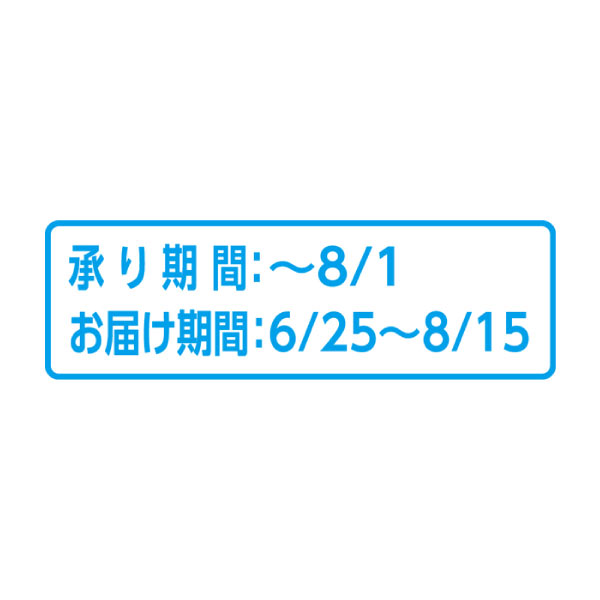 佐賀県産(JA唐津) ハウスみかん(お届け期間：6/25〜8/15)【夏の贈りもの・お中元】　商品画像3