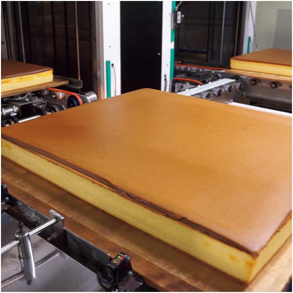 カステラ銀装 個装カステラ・マドレーヌ詰合せ【冬の贈りもの・お歳暮】[OBDM30]　商品画像3