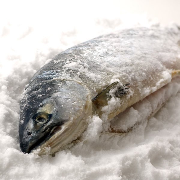 NSニッセイ 北海道認証 14日間熟成新巻鮭　姿切身半身【おいしいお取り寄せ】　商品画像3