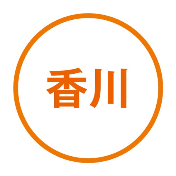 大庄屋 半生讃岐うどん詰合せ(徳島産すだち果汁付き)【夏の贈りもの・お中元】[OH10-SD]　商品画像3