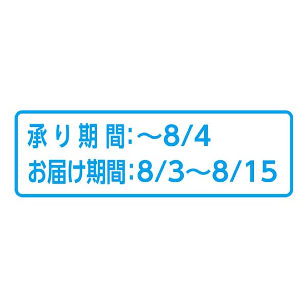 広島県産 広島シャインマスカット(お届け期間：8/3〜8/15)【夏の贈りもの・お中元】　商品画像3