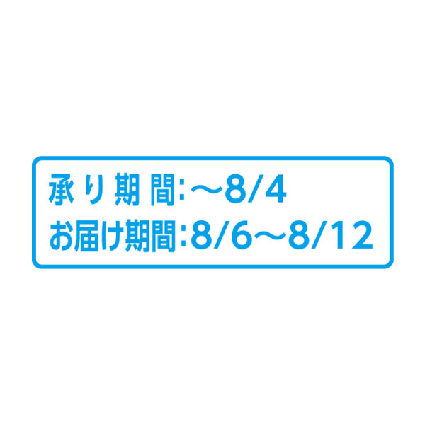 広島県産 広島シャインマスカット(お届け期間：8/6〜8/12)【夏の贈りもの・お中元】　商品画像3