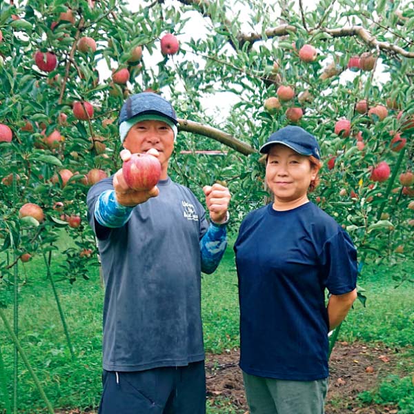 青森県産 葉とらずサンふじりんご(大玉)(お届け期間:12/1〜12/31)【冬の贈りもの・お歳暮】 商品画像3
