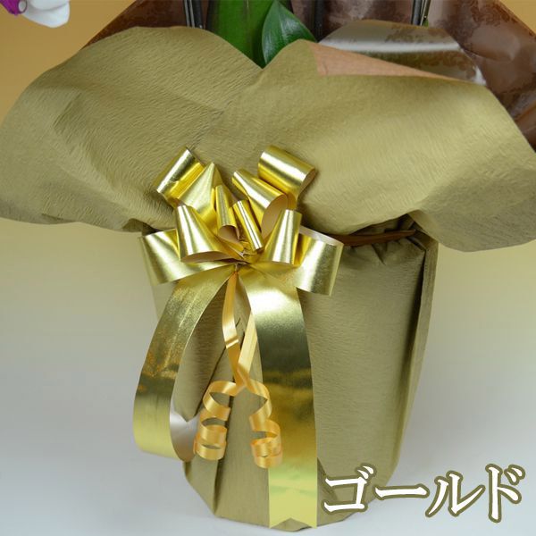 リーフ 大輪胡蝶蘭3本立ち 白【花】【年間ギフト】　商品画像2