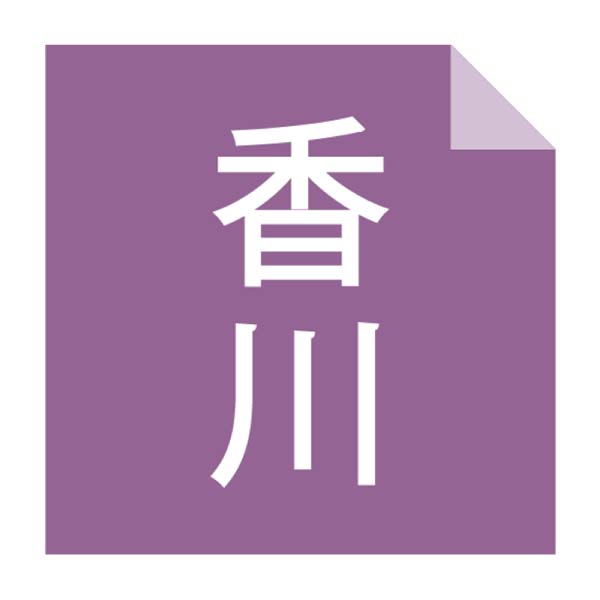 伝統の味 藤麺 包丁切りさぬき半生うどん詰合せ【冬の贈りもの・お歳暮】[MW-30S]　商品画像3