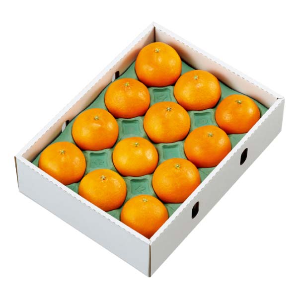 愛媛県産 紅まどんな(お届け期間：11/25〜12/31)【冬の贈りもの・お歳暮】　商品画像3
