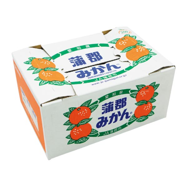 愛知県産 蒲郡みかん (お届け期間：11/13〜12/28)【冬ギフト・お歳暮】　商品画像3