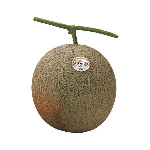 北海道産(JAきょうわ) らいでんメロン 2個(赤肉メロン)(お届け期間：7/21〜8/15)【夏の贈りもの・お中元】　商品画像3