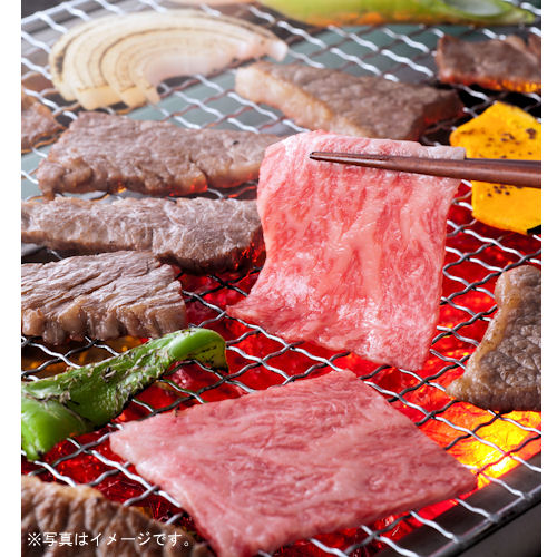 岐阜県産 飛騨牛焼肉の宴セット 450g【おいしいお取り寄せ】　商品画像3