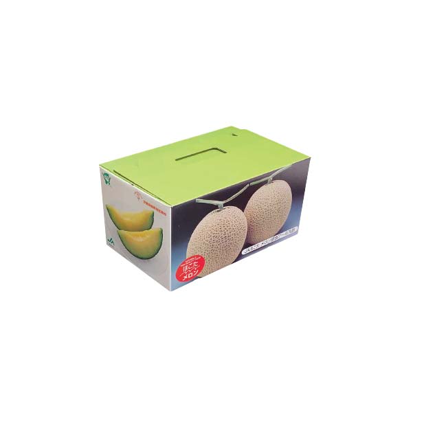 茨城県産 JAほこた アールスメロン(1箱(2玉入り)) 【お届け期間:8月17日〜8月31日】【KN】　商品画像1