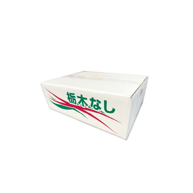 栃木県産 JAうつのみや 幸水梨(3L〜4L・5kg・14玉〜12玉)【お届け期間:8月6日〜8月22日】【KN】　商品画像1