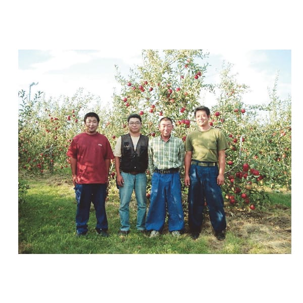 長野県(波田地区)産 波 果樹クラブのサンふじ16玉〜18玉入(4.8kg以上)【CB】　商品画像3