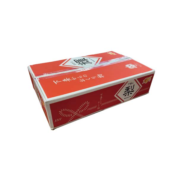 茨城県産 下妻市地区 JA常総ひかり プレミアム幸水梨(輝・ひかり)(5kg・14〜12玉)【限定:100点】【お届け期間:7月27日〜8月15日】【KN】 商品画像1