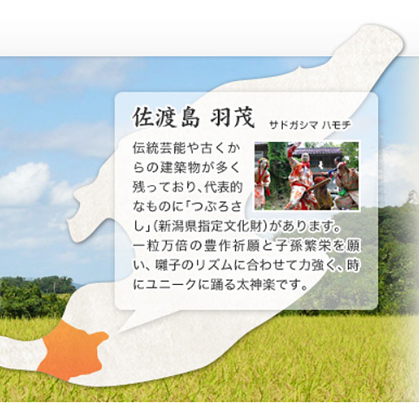 新潟県佐渡市産(JA佐渡地区)佐渡のおけさ柿 Lサイズ 3.5kg以上(18玉)【お届け期間 10/15〜11/20】【ふるさとの味・北陸信越】　商品画像3