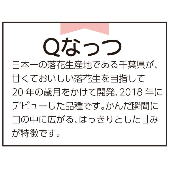 千葉県八街市産 節分 落花生ギフトB(千葉半立種100g×1・Qなっつ100g×2・ナカテユタカ種100g×1)【お届け期間:1月30〜2月3日】【MK】　商品画像2