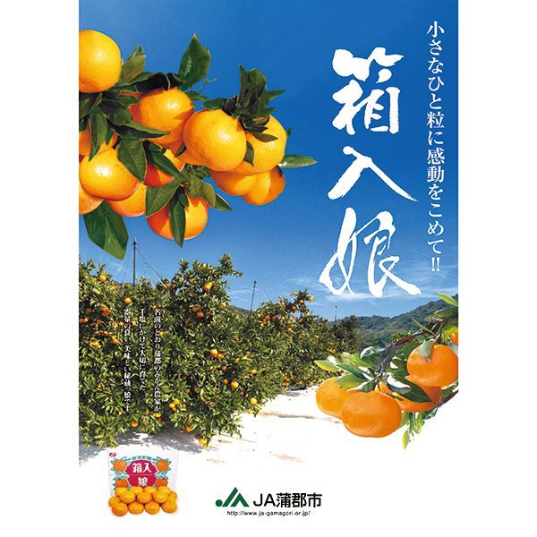 愛知県産(JA蒲郡市)箱入り娘 Sサイズ3kg【お届け期間：12/5(木)〜12/19(木)】【ふるさとの味・東海】　商品画像3