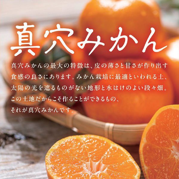 愛媛県産(JAにしうわ・真穴共選)真穴みかん 計10kg以上・Lサイズ【お届け期間:11月21日〜12月28日】【ふるさとの味・中四国】　商品画像3