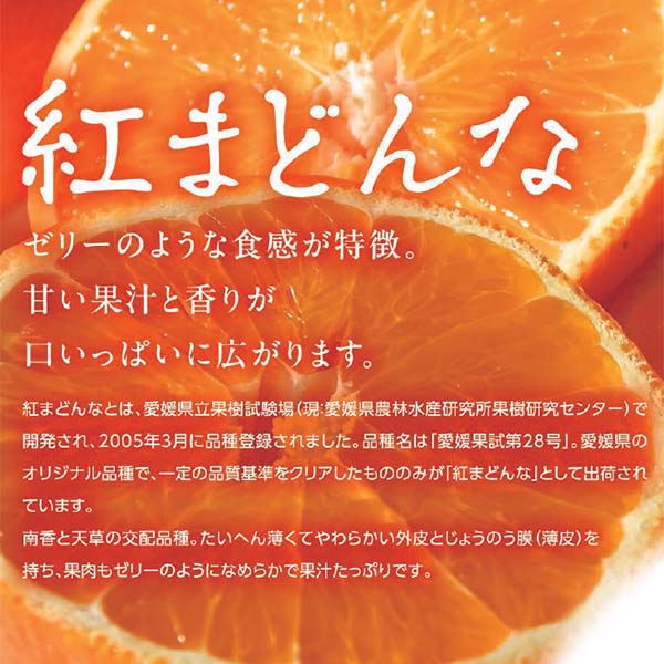 愛媛県産(JAえひめ中央)紅まどんな化粧箱 計2.5kg以上・L〜3Lサイズ【お届け期間:11月21日〜12月28日】【ふるさとの味・中四国】 果物・野菜【季節の贈り物&ご