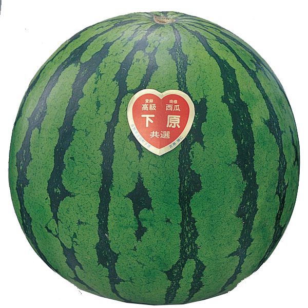 長野県(松本市波田地区) 下原すいか(サンハート)【CB】　商品画像3