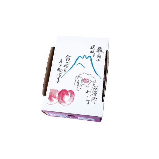 山梨県産 JAふえふき八代支所 もも (3L〜4L・5kg・16〜15玉)【お届け期間:7月5日〜8月15日】【KN】　商品画像1