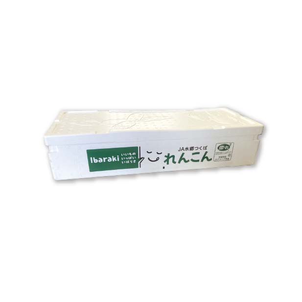 茨城県産 JA水郷つくば れんこん(4kg) 【お届け期間:10月1日〜10月31日】【KN】　商品画像1