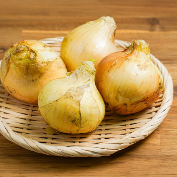 兵庫県産 JAあわじ島 淡路島たまねぎ 秀品 10kg Lサイズ(新たまねぎ)【お届け期間:4月1日〜4月30日】【春野菜】【NN】 商品画像3