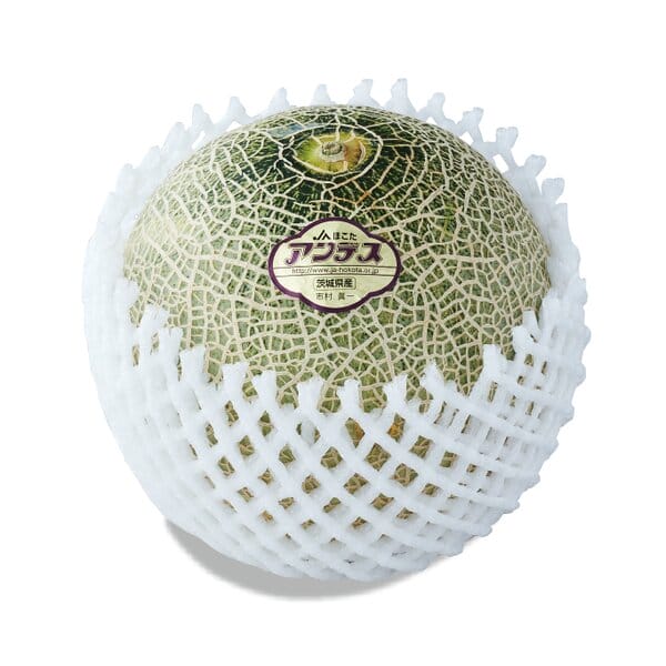 茨城県 JAほこた メロン2種ミックス 2Lサイズ4玉入(アンデス・クインシー)【お届け期間:5月18日〜6月30日】【KN】　商品画像2