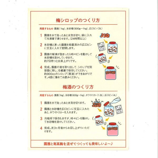 和歌山県産 青梅　露茜（つゆあかね） L・2L寸　２kg【お届け期間：6月1日〜6月30日】【限定100点】【おいしいお取り寄せ】　商品画像3