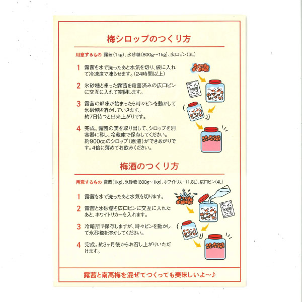 和歌山県産 JAわかやま(紀州地域本部)青梅 露茜(つゆあかね) 4L寸 2kg【限定20点】【お届け期間：6月10日〜7月18日】【おいしいお取り寄せ】　商品画像3