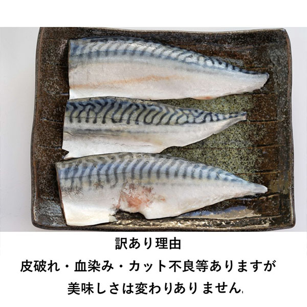 訳あり 腹骨取り塩さばフィレ 10枚セット【お届け期間：11月10日〜12月12日】【ブラックフライデー】　商品画像3