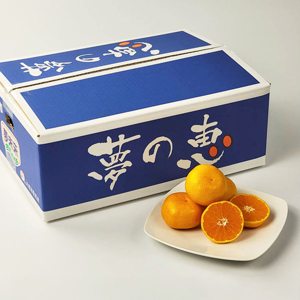 熊本県産 夢未来みかん 夢の恵 4kg【お届け期間:1月7日〜1月31日】【おいしいお取り寄せ】 商品画像3