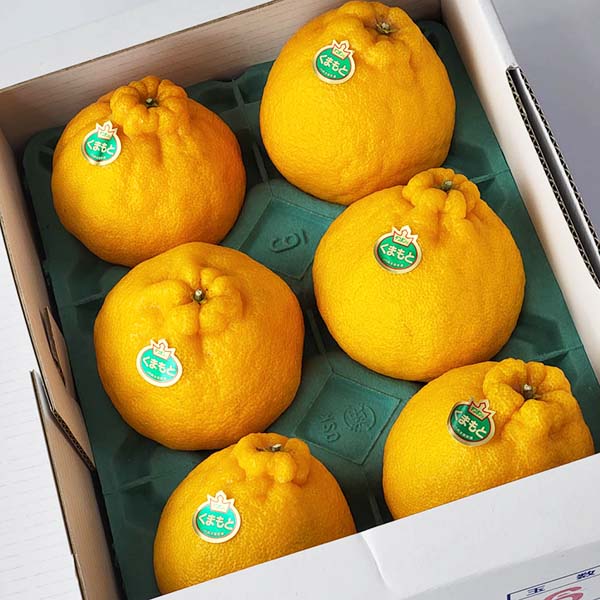 熊本県産 デコポン 2kg【お届け期間：2月1日〜2月28日】【イオンゴールドカード会員さま限定特別セール1月】　商品画像3