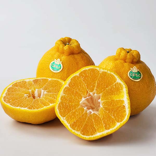 熊本県産 デコポン 3kg【お届け期間:2月1日〜2月28日】【イオンゴールドカード会員さま限定特別セール1月】 商品画像3