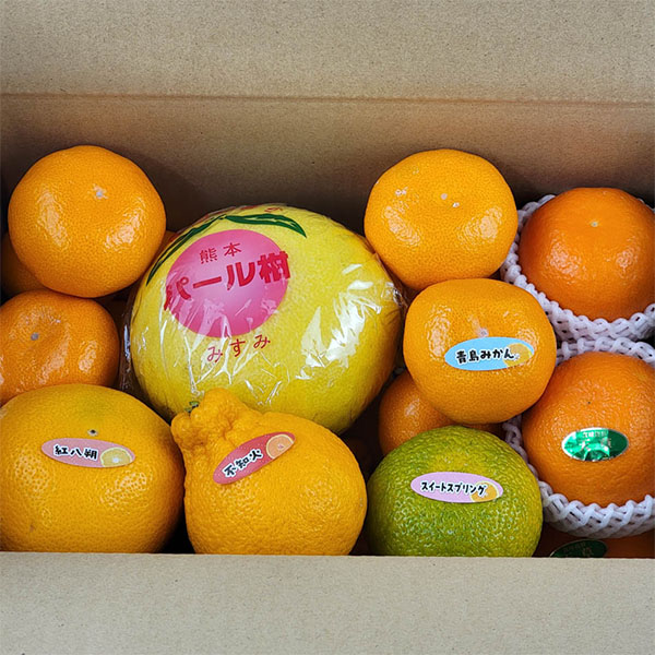 熊本県産 柑橘セット 4kg【お届け期間：2月20日〜3月10日】【お買い得セール2月】　商品画像3