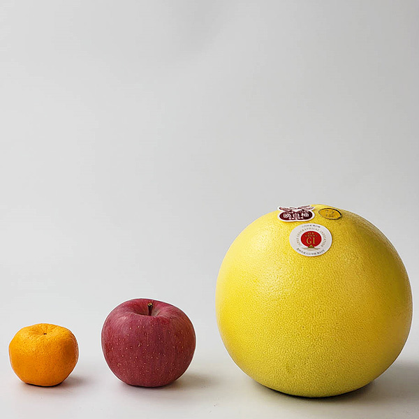 熊本県産 晩白柚 1玉【お届け期間:2月1日〜2月28日】【イオンゴールドカード会員さま限定特別セール1月】 商品画像3