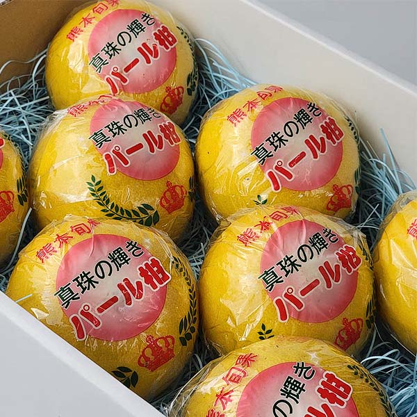 熊本県産 パール柑 12〜18玉【お届け期間：2月1日〜2月28日】【イオンゴールドカード会員さま限定特別セール1月】　商品画像3